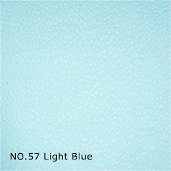 色見本NO.57 Light Blue